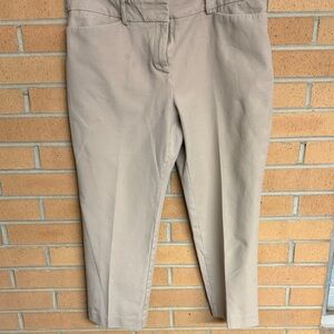 Ann Taylor Petite Neutral Beige Pants